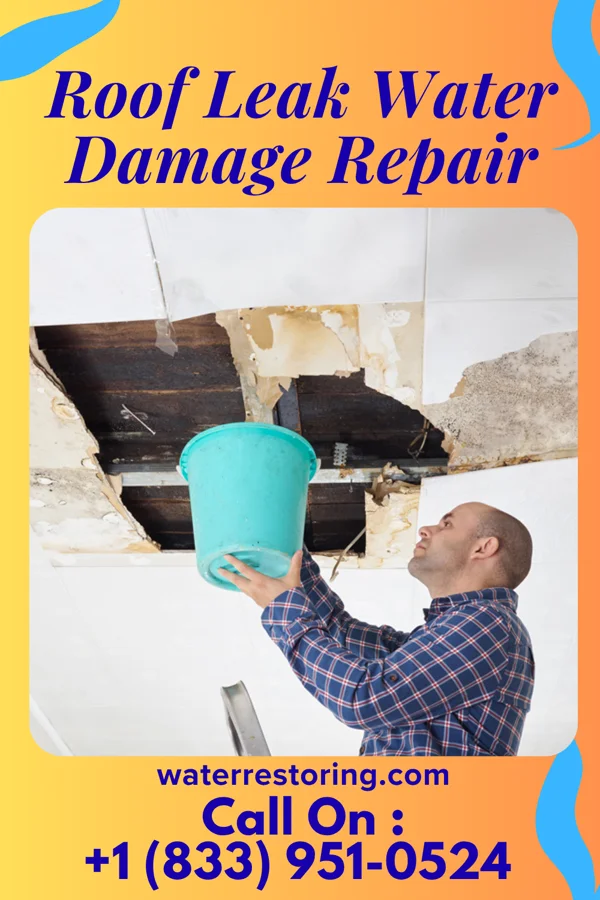 Roof Leak Water Damage Repair in Braymer, MO
